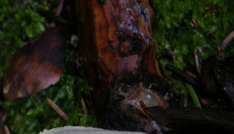 QUIZ..n�3..FACILISSIMO-DIFFICILISSIMO